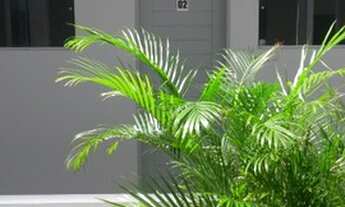 Imagem 5: Locação de kitnet São Gonçalo do Amarante