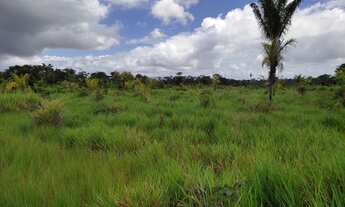 Imagem 3: Vendo fazenda em Roraima