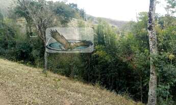 Imagem 5: Fazenda Pecuária para Venda em Centro Cambuí-MG - SI0035