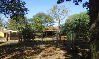 Imagem 5: Barrinha - Chácara - Rural