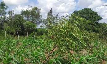 Imagem 7: Sitio cidade Araçás