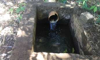 Imagem 5: Fazenda estado de Goias 50 alqueires