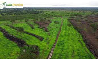 Imagem 2: FAZENDA À VENDA EM PIUM - TO - 1.021,24 HECTARES (DUPLA APTIDÃO
