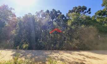 Imagem 5: Chácara com 20000m² no Cerne - Campina Grande do Sul/Pr