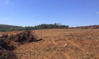 Imagem 3: Area para Silos Fazenda / sítio com venda por R$1.950.000
