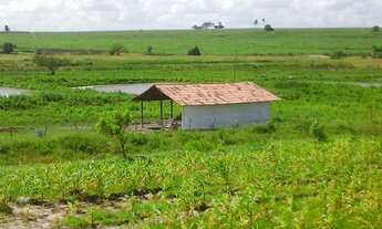 Imagem 6: Promoção 15,5 tarefas em São Sebastião