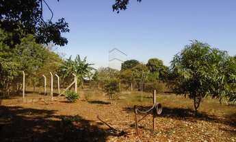 Imagem 4: Barrinha - Chácara - Rural