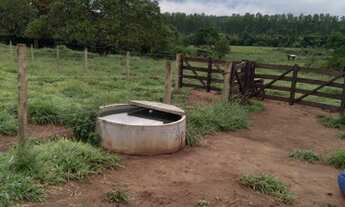 Imagem 7: Chácara 8 Alqueires Itaberaí