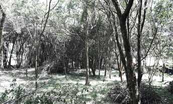 Imagem: Terreno à venda, Itapuã - Viamão/RS