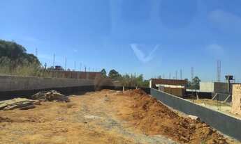 Imagem 6: Lote 26 de setembro (com procedência