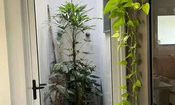 Imagem 5: Casa mobiliada Três Vendas