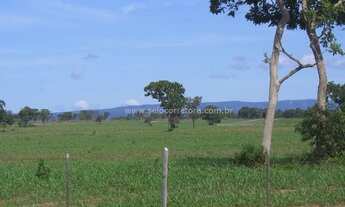 Imagem 5: Excelente Fazenda no Municipio de Cáceres -MT