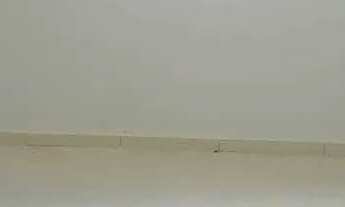 Imagem 4: Casa 2/4 - Bairro Salgadeira