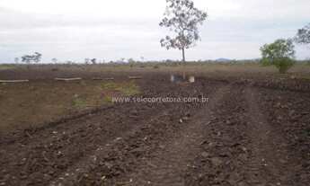Imagem 7: Excelente Fazenda no Municipio de Cáceres -MT