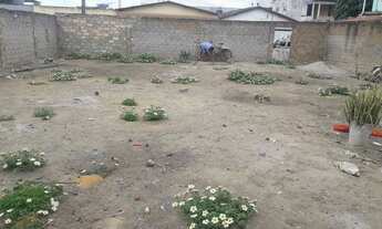 Imagem 6: Terreno a venda por 155.000 mil reais