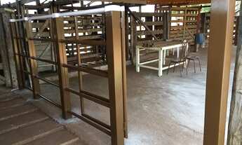 Imagem 7: Fazenda em riolandia s.p 185 alqueires 40.000.000.00 ( dud