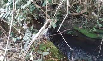 Imagem 5: Chácara em alaxnia