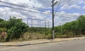Imagem 2: Lote/Terreno para venda tem 142000 metros quadrados em Flores - Manaus - AM