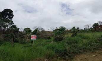 Imagem 3: Terreno ilha de vera cruz na vila verde