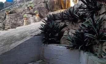 Imagem: Vendo lindo lugar no saco dos limoes