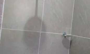 Imagem 3: Aluga casa Casa com aluguel por R$800 /mês