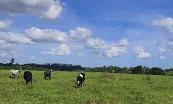 Imagem 4: SITIO CHACARA FAZENDA CONCEICAO JACUIPE (BERIMBAU) 7 TAREFAS OTIMA LOCALIZACAO