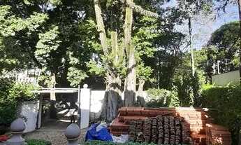 Imagem 2: ÓTIMA CASA NO JARDIM EUROPA