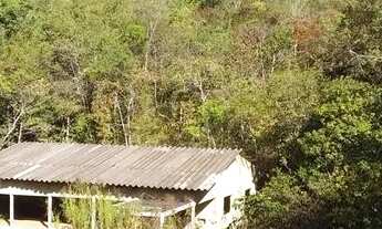 Imagem: Chácara em bonfinopolis