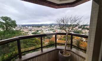 Imagem 7: Apartamento para venda possui 290 metros quadrados com 3 quartos em Água Fria - São Paulo