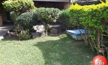 Imagem: São Paulo - Casa Padrão - Penha