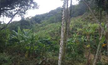 Imagem 6: Sitio Araguaia 18 hequitares