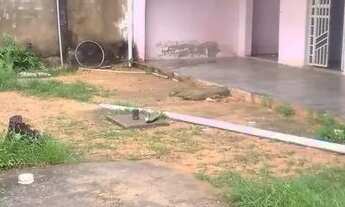 Imagem: Aluga-se casa