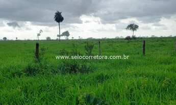Imagem 7: Excelente Fazenda no Muni.de Cuiabá