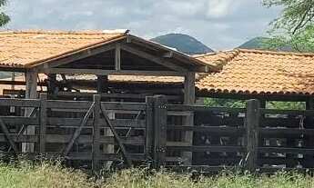 Imagem 4: FAZENDA EM RAFAEL JAMBEIRO - 900 TAREFAS