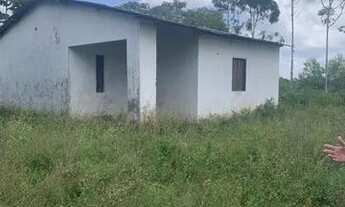 Imagem 7: Excelente fazenda de 115 t, com duas casas. curral, pastagem, rio e arvores frutíferas