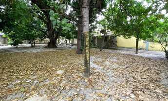 Imagem 4: Terreno à venda no Montese em Fortaleza