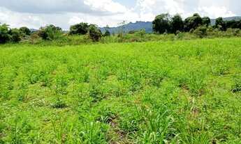 Imagem 5: Terreno rural em itatiaucu