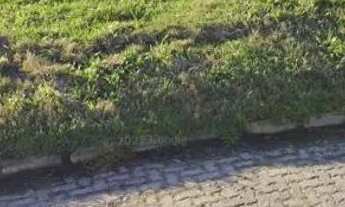 Imagem 2: IMPERDÍVEL! Terreno 480 m² (12×40)em Pelotas!!! Rua C. J. Dias no bairro Colina Do Sol