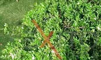 Imagem 5: Casa com 4 dormitórios à venda, 560 m² por R$ 2.480.000,00 - Parque da Fazenda - Itatiba/S