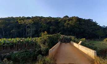 Imagem 6: Fazenda/Fazendinha/Sítio/Casa de Campo com 55 Hectares, Conselheiro Lafaiete / Itavearava