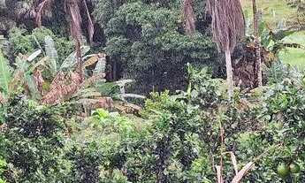 Imagem: Sítio com casa