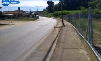 Imagem 3: Terreno á venda na Rota do Vinho !