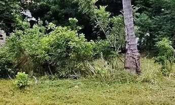 Imagem 5: LUCIANO CAVALCANTE - TERRENO - RUA LIBANES JOSE LOPES S/N L06 Q26, Aprox. 520m², Plano, Po