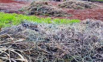 Imagem 3: Terreno para alugar, 552 m² por R$ 5.600,00/mês - Jardim Botânico - Ribeirão Preto/SP