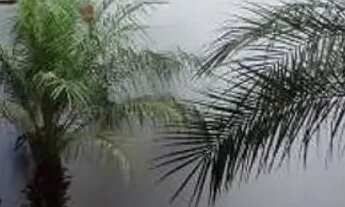 Imagem 3: Casa em Frezzarin 2 - Santa Bárbara d'Oeste