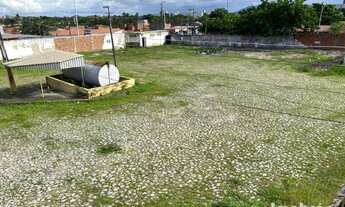 Imagem: Terreno para alugar, 5500 m² por R$ 21.000,00/mês