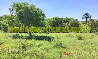 Imagem 6: Sítio 2,50 hectares, muita água, entre Uberlândia e Monte Alegre