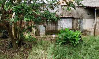 Imagem 3: Casa para vender ou alugar