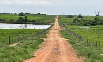Imagem 6: Fazenda no Tocantins