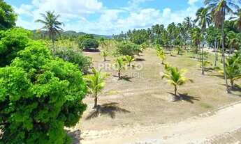Imagem 5: Imóvel para venda possui 157 metros quadrados com 3 quartos em Praia dos Carneiros - Taman